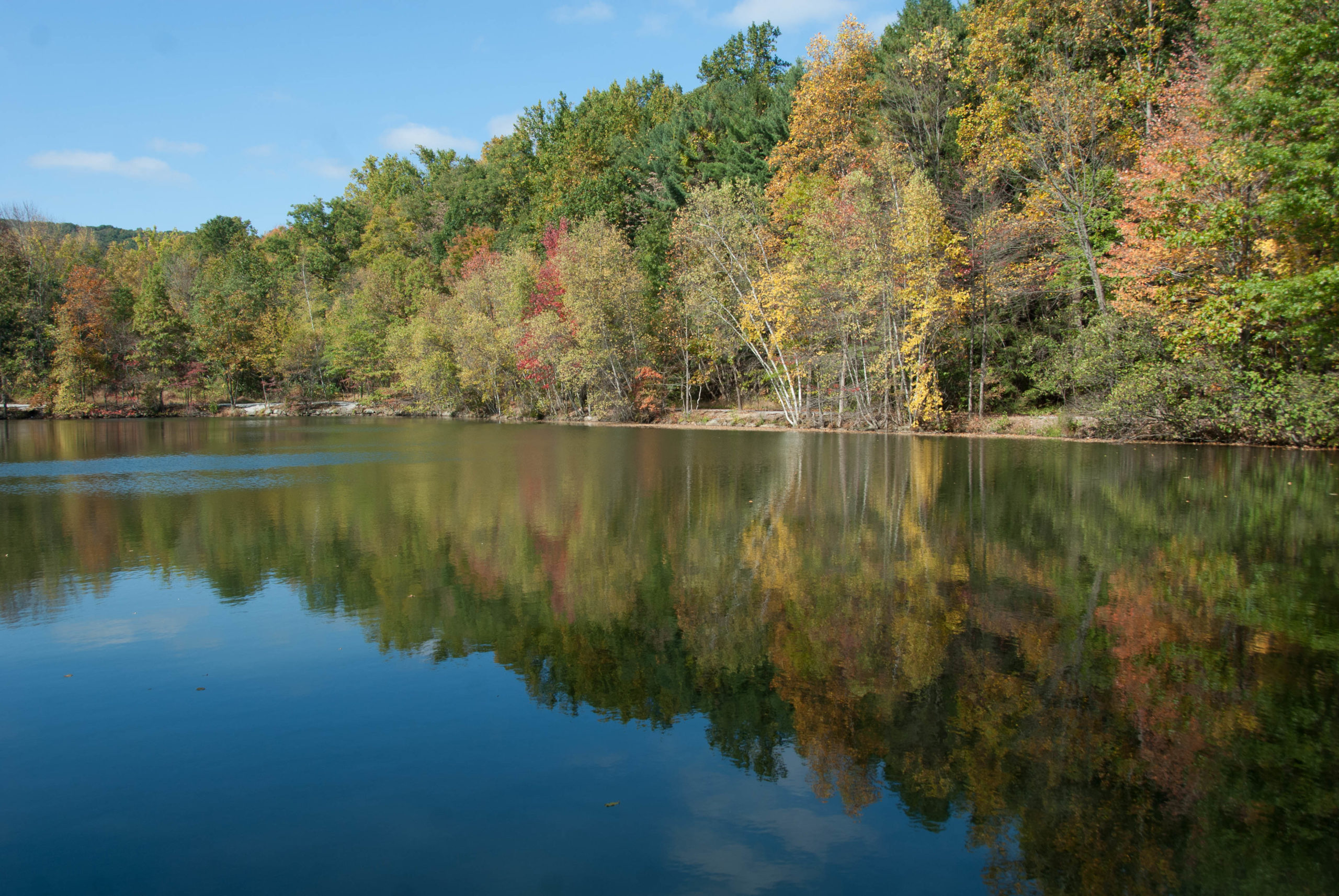 The Watershed – Whippany River Watershed Action Committee